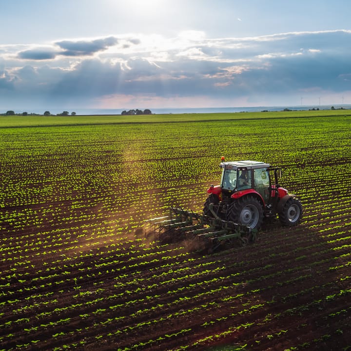 Afrique du Sud : le débat explosif sur la protection des agriculteurs blancs et ses enjeux sociopolitiques.